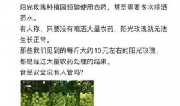 葡萄事件爆料最新消息,真相逐步浮出水面