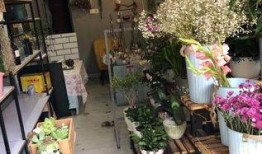 西昌最新爆料花店在哪里,探寻最新爆款的浪漫花店