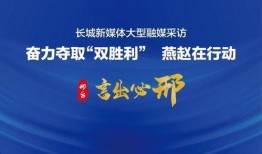 近日媒体爆料视频最新版,媒体曝光惊人内幕