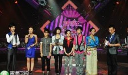 青海卫视最新爆料,最新爆料背后的惊人真相