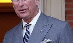 查尔斯最新爆料新闻内容,揭秘不为人知的幕后真相