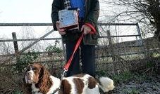 钻石宠物最新爆料,揭秘神秘新品，引领宠物市场新潮流