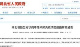 湖北最新爆料,揭秘神秘事件背后的真相