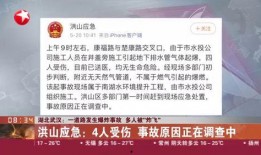 武汉最新事件爆料,揭秘背后真相与影响