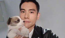 彭于晏爆料最新消息,揭秘演艺圈幕后真相！