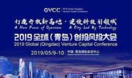 青岛地球港爆料视频最新,揭秘神秘项目背后的真相