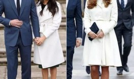 哈里梅根最新爆料,揭开王室内部惊人真相